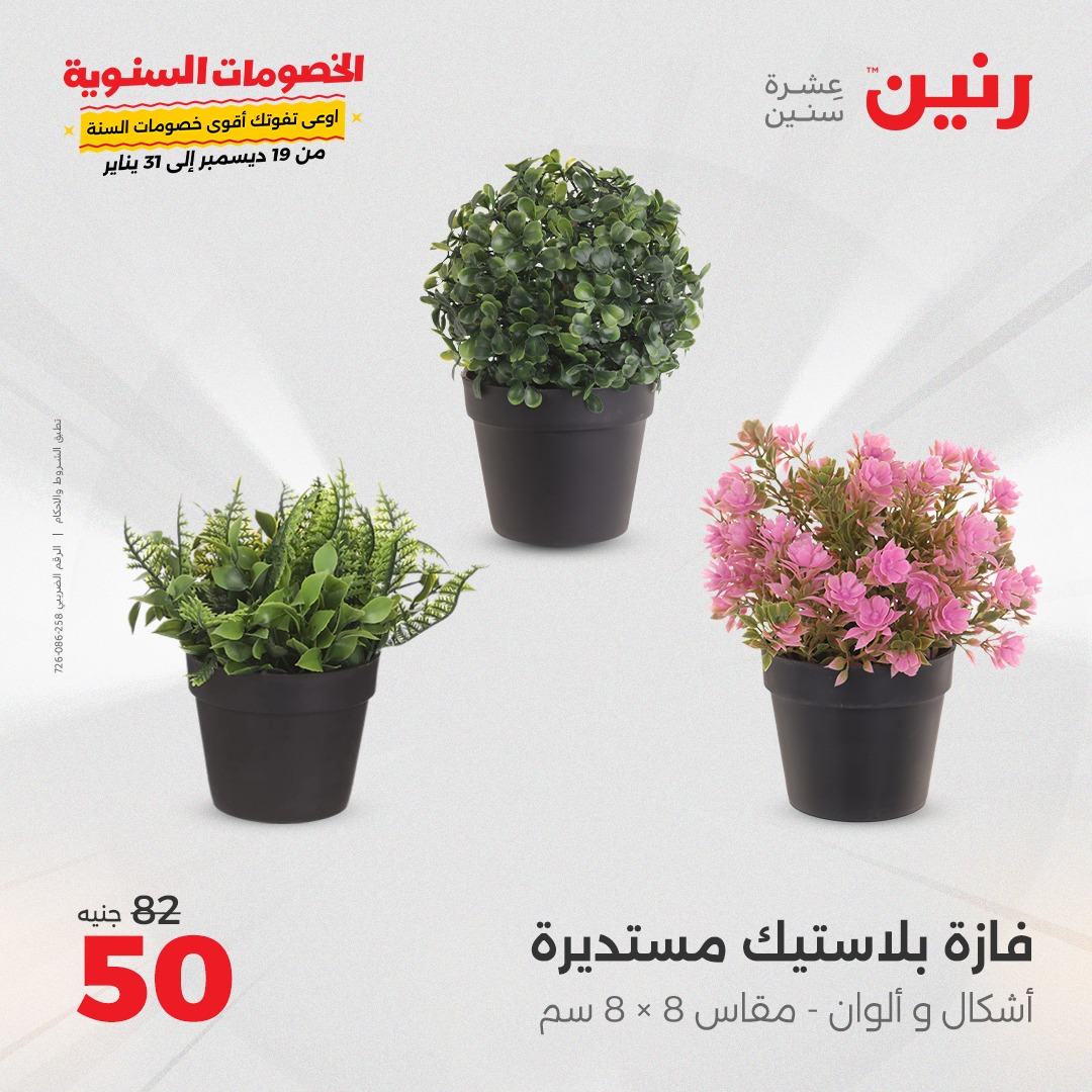 raneen offers from 14jan to 15jan 2025 عروض رنين من 14 يناير حتى 15 يناير 2025 صفحة رقم 134